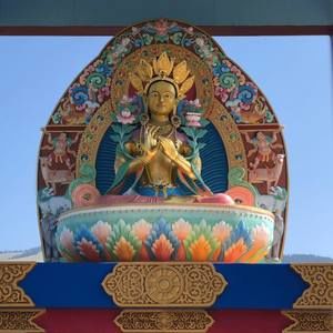 Meet your Posher, Rocky